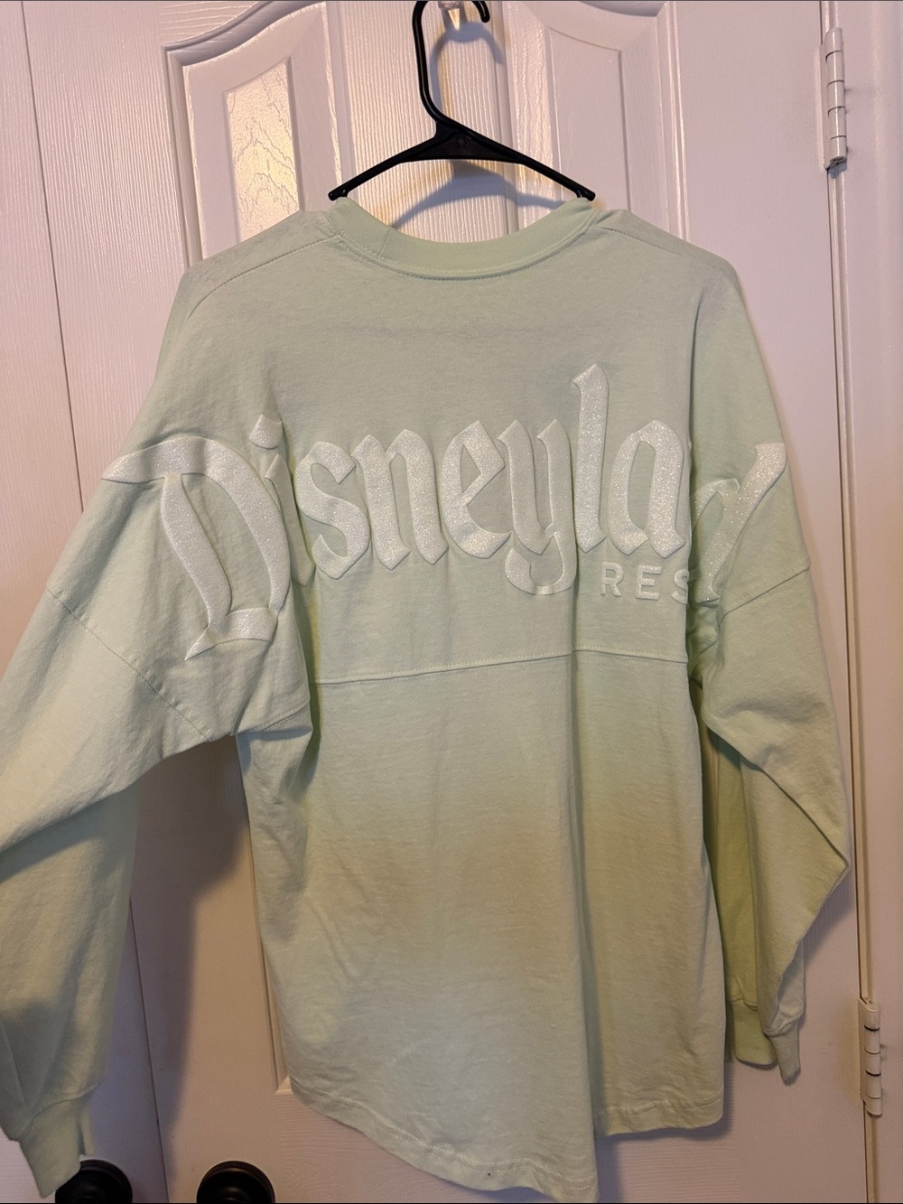 Disneyland Resort Mint Green spirit jersey